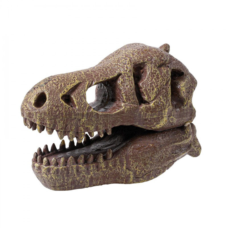 Kit De Sapat - Craniu T-Rex - Joc sapa si descopera dinozauri - set excavare