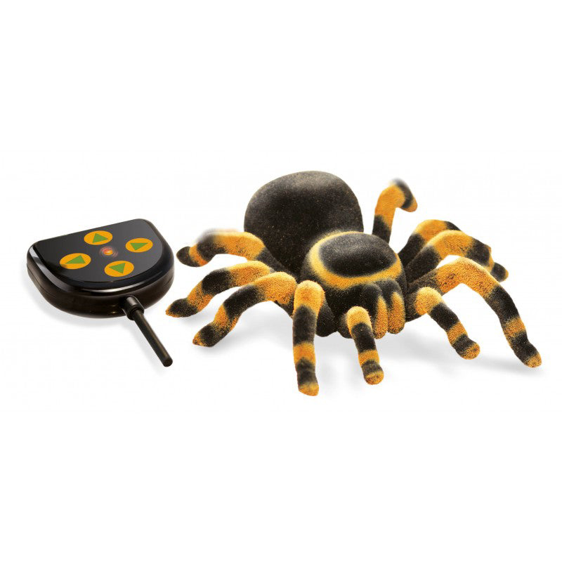 Tarantula Radiocomandata