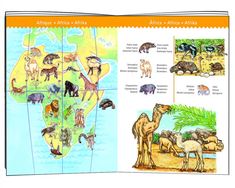 Puzzle Observatie Djeco Animalele Lumii